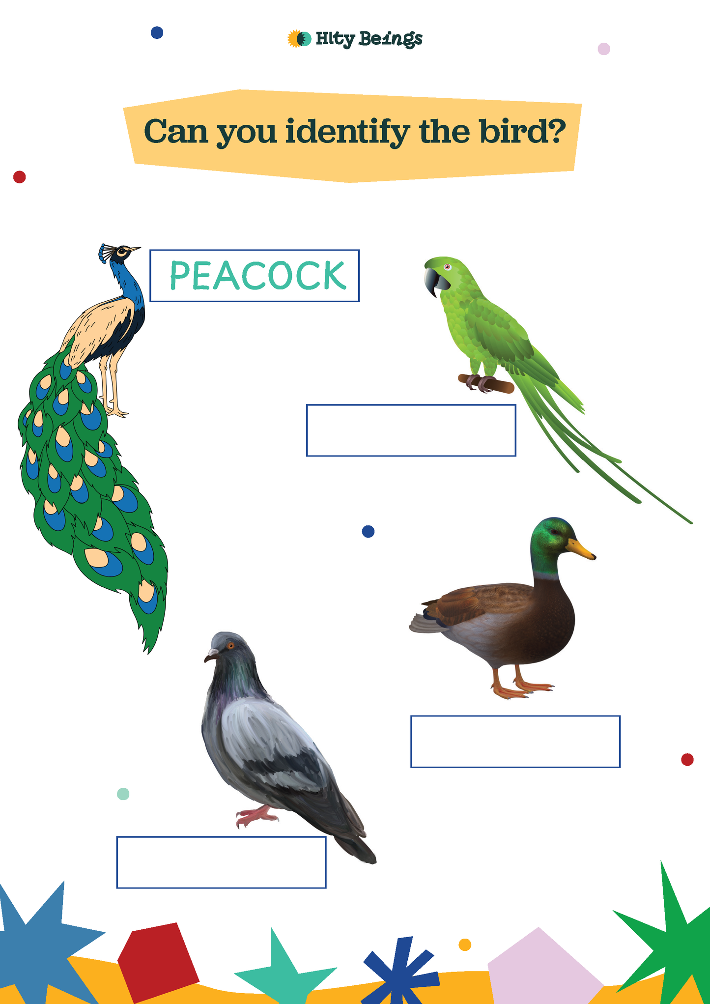 Birds Activity Sheets — Free Printable LKG (Set of 5)
