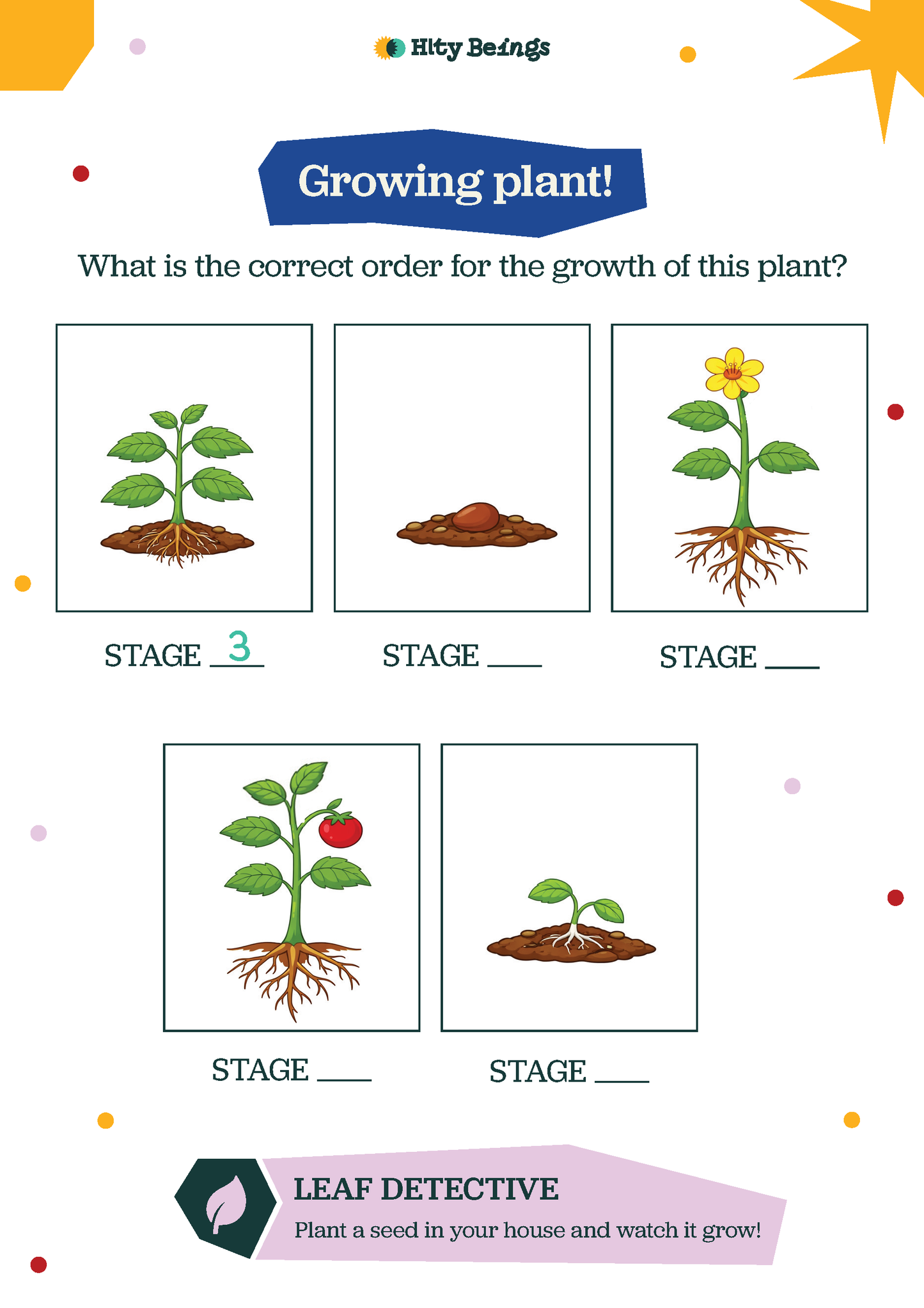 Plants Activity Sheets — Free Printable LKG (Set of 5)